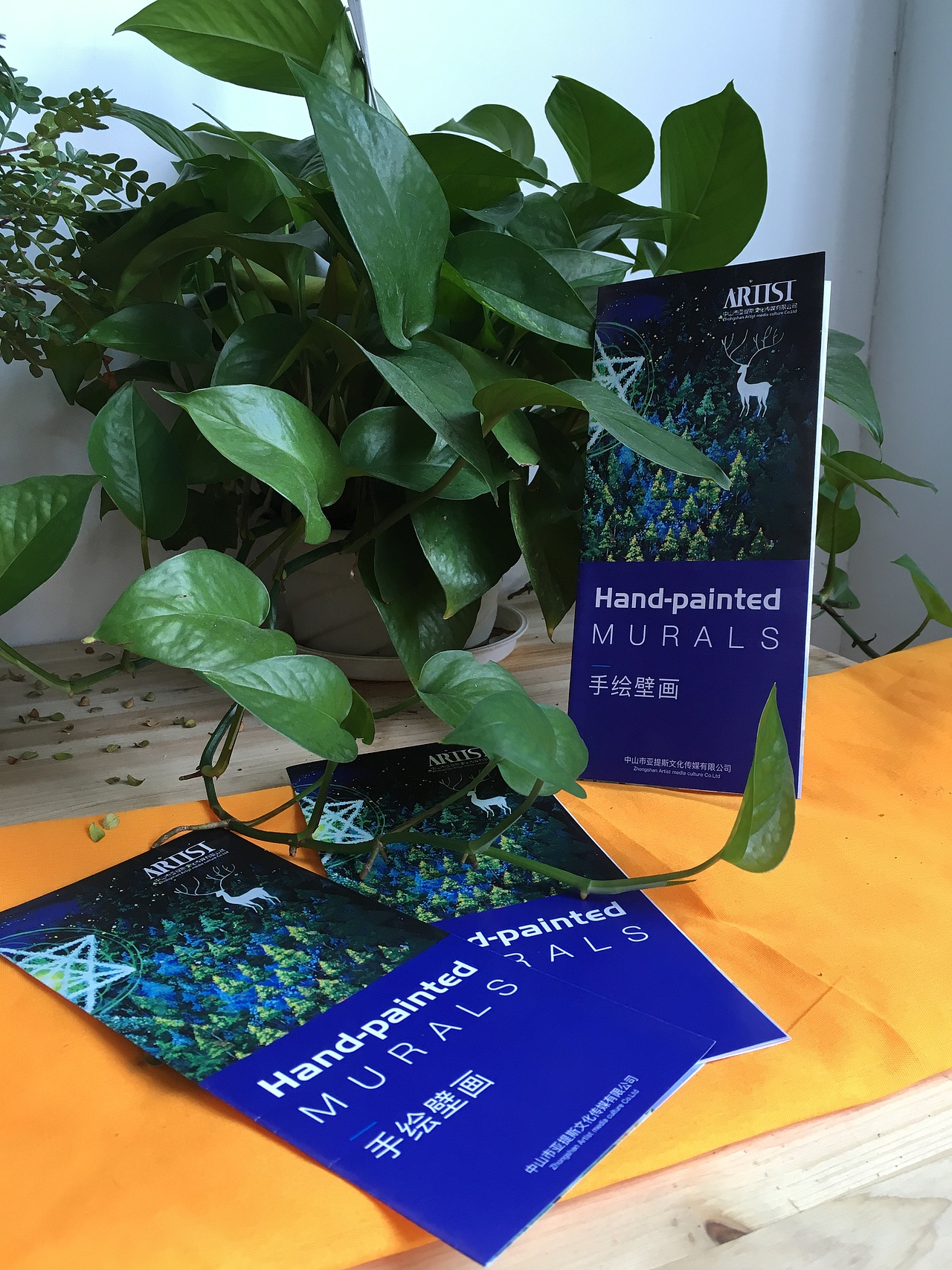 三页宣传册（图ZMTMwMjUxMTQw） - 宣传物料 - 站酷设计师Iam_Tia原创素材 - 站酷ZCOOL