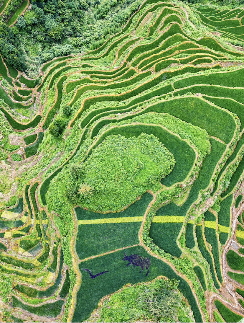 若无执念在心头，人生何处不清欢。（图ZMzYxMTY5OTAw） - 风光摄影 - 站酷设计师一小迷糊一原创素材 - 站酷ZCOOL
