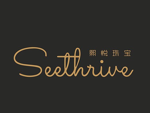 珠宝品牌vi平面-品牌1163034年前地产标志提案平面-logo96481155年前