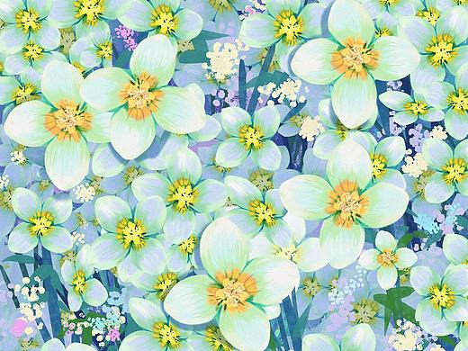早春植物系列插画