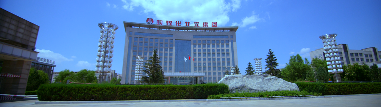 陕西北元化工集团