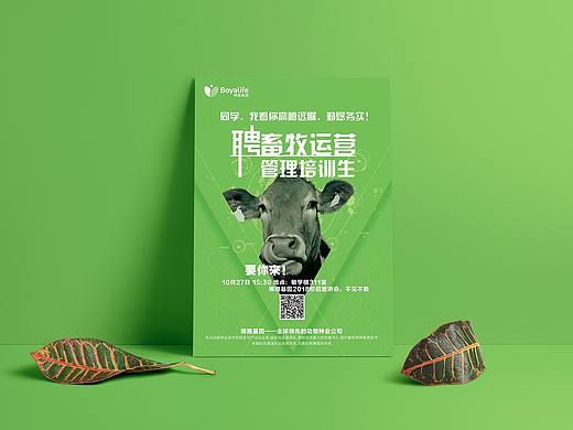 招聘海报