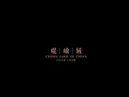 说明书