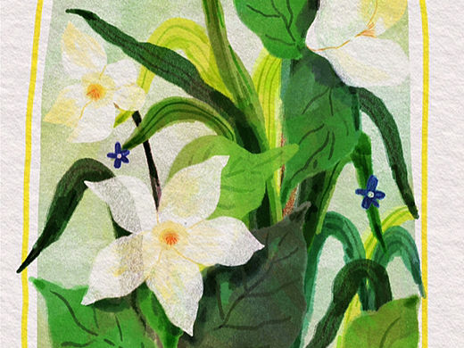 你的窗外有什么（個(gè)人主頁(yè)-ZNjI5MzIxOTI=） - 兒童插畫(huà) - 站酷設(shè)計(jì)師喬喬插畫(huà)原創(chuàng)素材 - 站酷ZCOOL