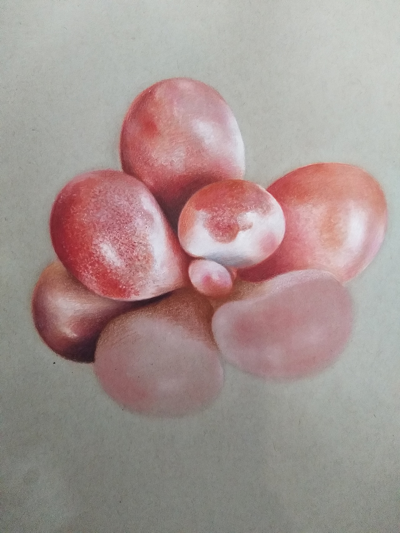 李胜仁 作品(多肉)