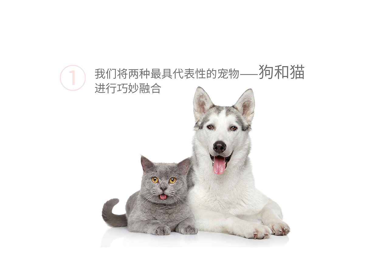 宠物护理品牌logo设计-邵云飞设计