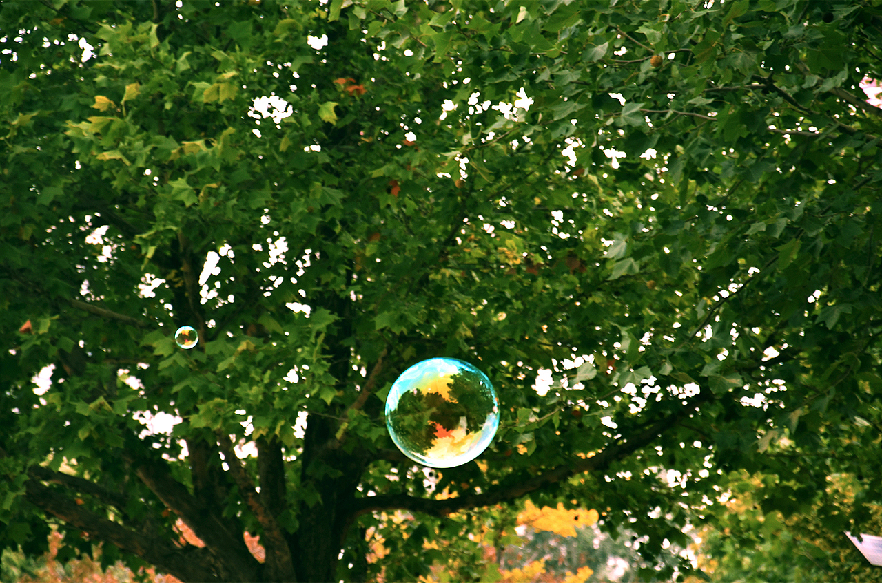 摄影记录 （ 二 ）