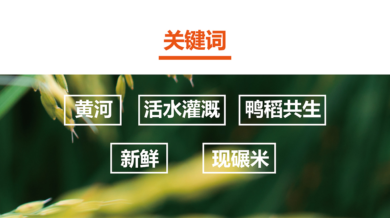至觉案例丨彬山涛丰：大米品牌包装设计（图ZMjA1MjQwODg4） - 包装 - 站酷设计师至觉品牌包装设计原创素材 - 站酷ZCOOL