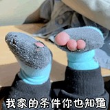 维ABC的头像