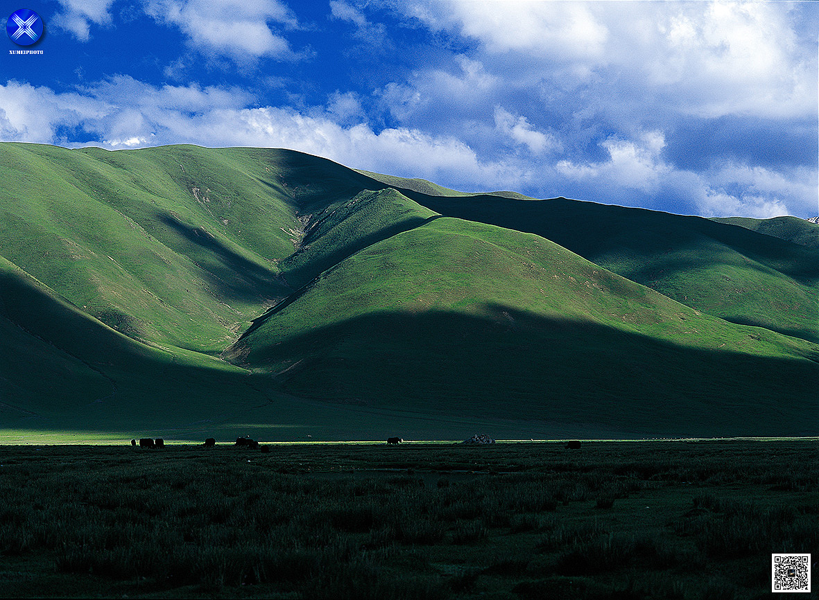 健力宝A8影视平面