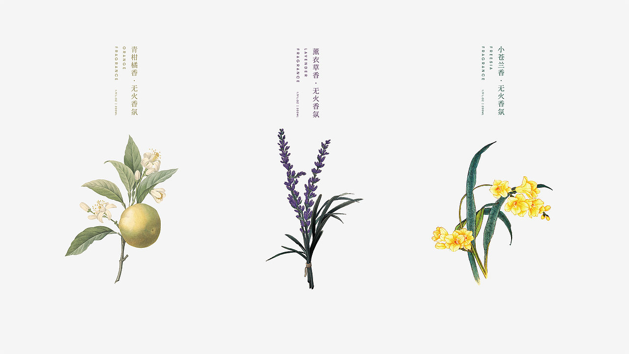 2019包装合集（图ZMTk2NjQ0NDQw） - 包装 - 站酷设计师谭清泓原创素材 - 站酷ZCOOL