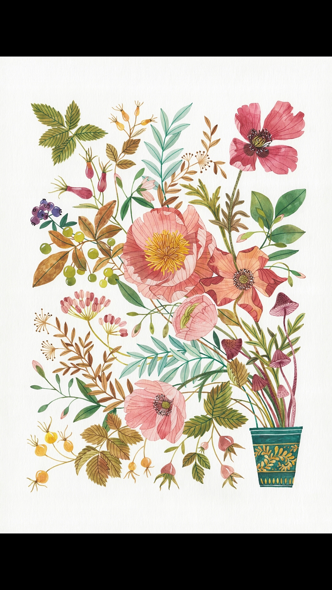 植物|插画|创作习作|颜无wu_原创作品-站酷zcool