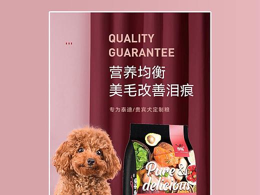 狗粮详情页宠物详情页猫粮详情页