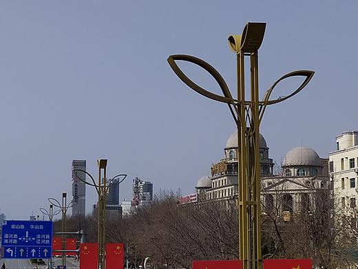 鸽子花景观灯_鸽子花组合灯_和平鸽景观路灯