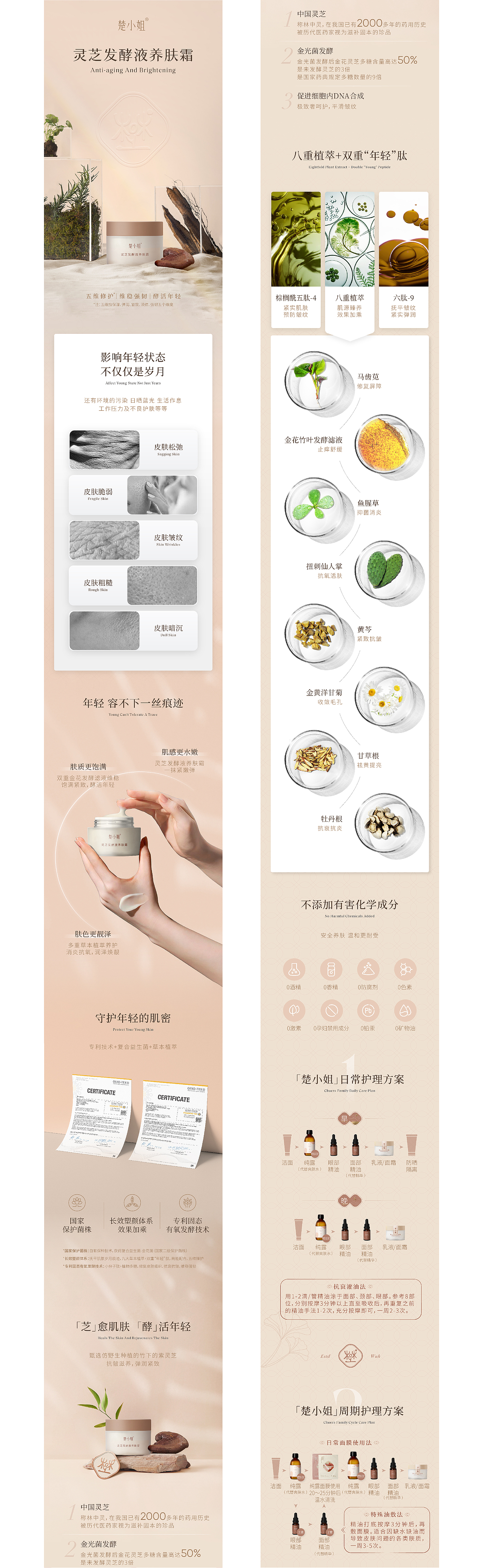 Chuer's Family 楚小姐 | ABD案例