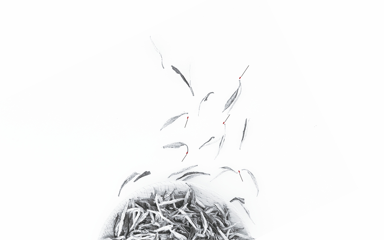 須在久（圖ZMjM1MDU5MzIw） - 品牌 - 站酷設(shè)計(jì)師蕭德楠原創(chuàng)素材 - 站酷ZCOOL