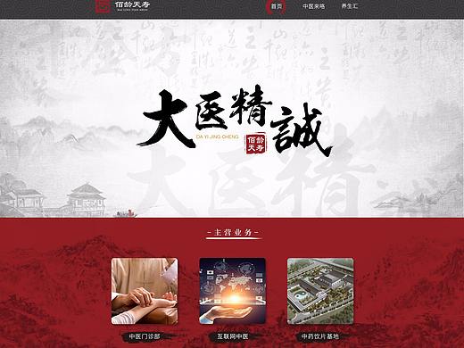中医网站 UI设计 中国风 扁平化 排版 水墨 毛笔字