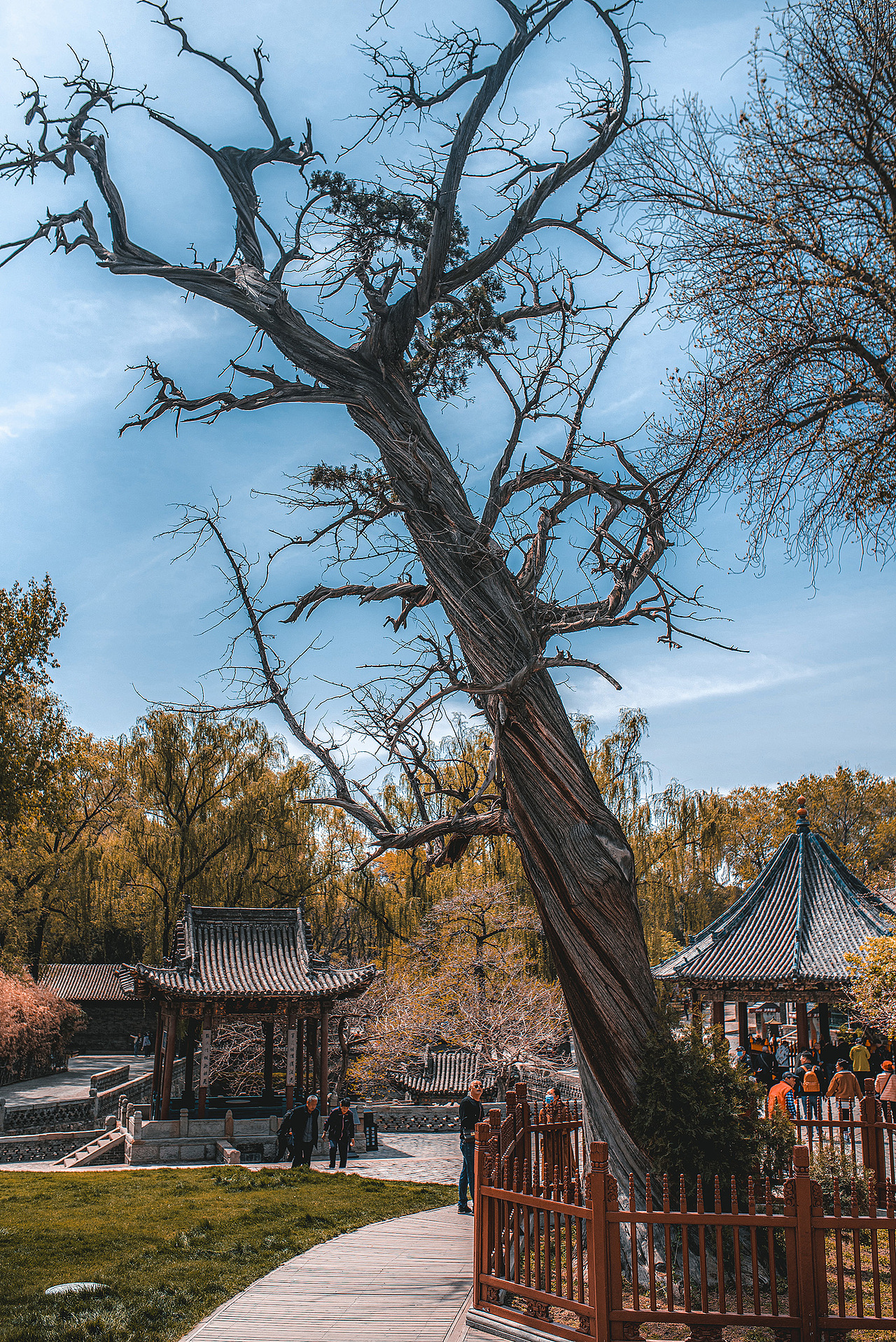 晋祠行（图ZMjUyNDQwOTg0） - 环境/建筑摄影 - 站酷设计师大卫009原创素材 - 站酷ZCOOL