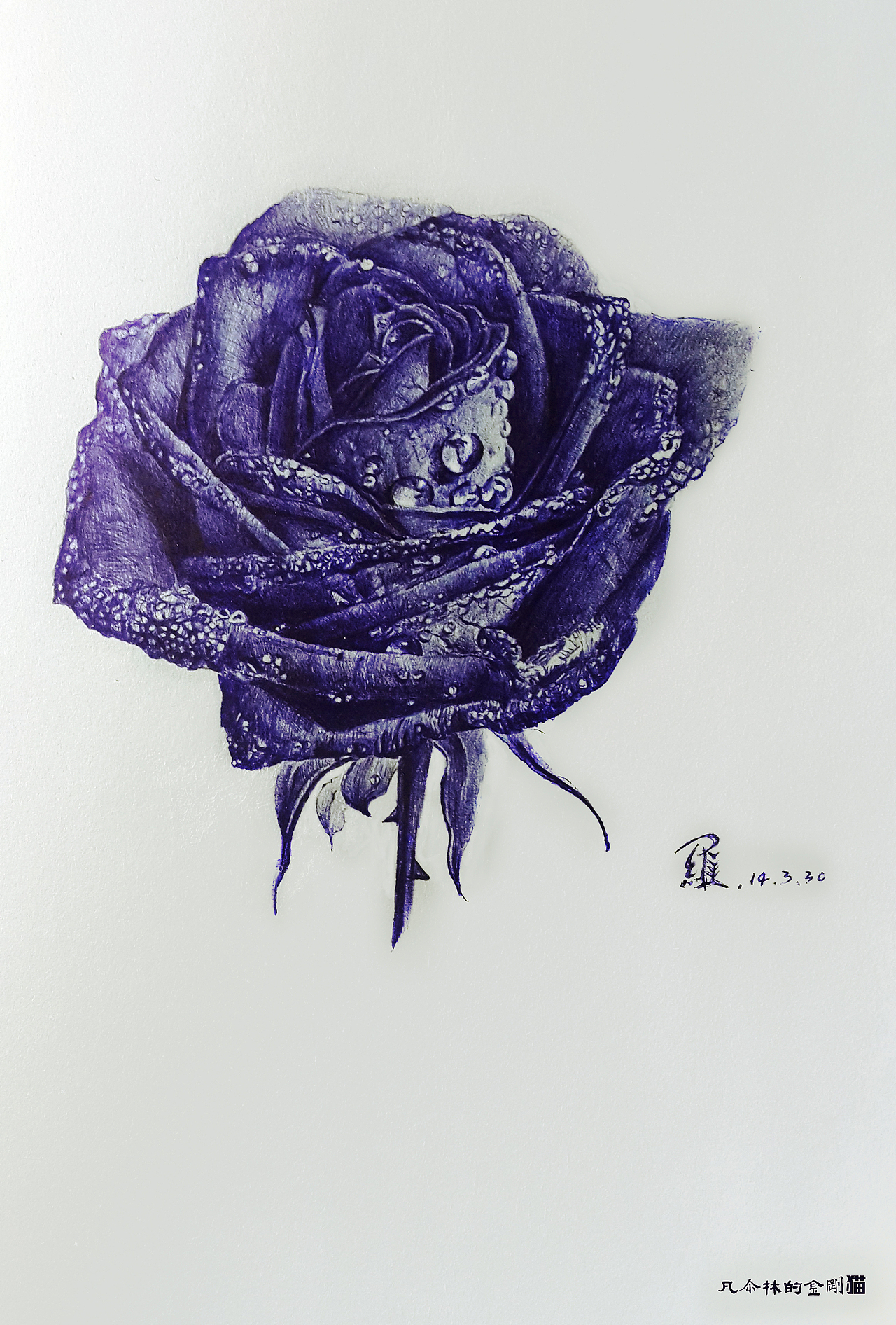 蓝色妖姬 圆珠笔手绘