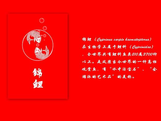 锦鲤（个人主页-ZMzQ2NzUzNjA=） - 图案 - 站酷设计师UproL原创素材 - 站酷ZCOOL