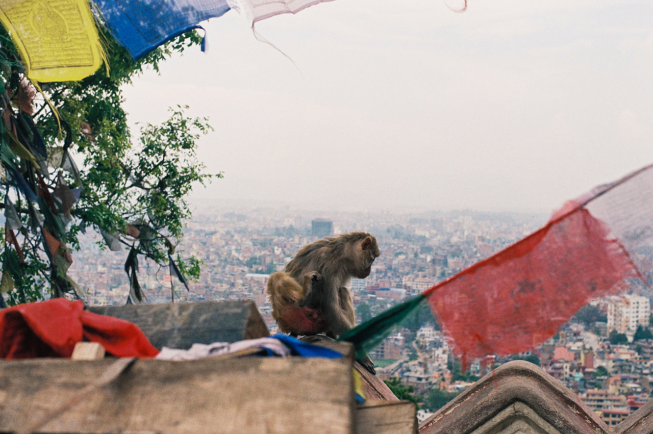 【胶片记录】和世界做邻居（图ZMjY4NzQ2OTgw） - 人文/纪实摄影 - 站酷设计师付诗意PHOTO原创素材 - 站酷ZCOOL