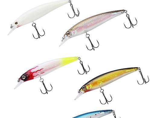 亚马逊摄影设计 | 夜光米诺