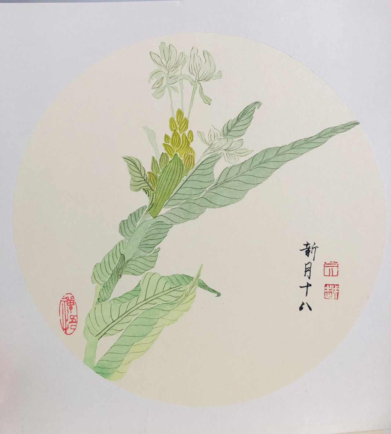 没骨花卉