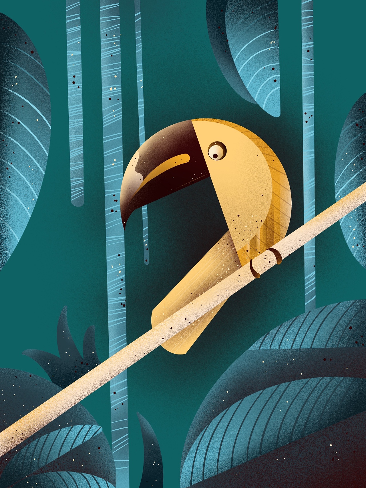 【插画练习|犀鸟】