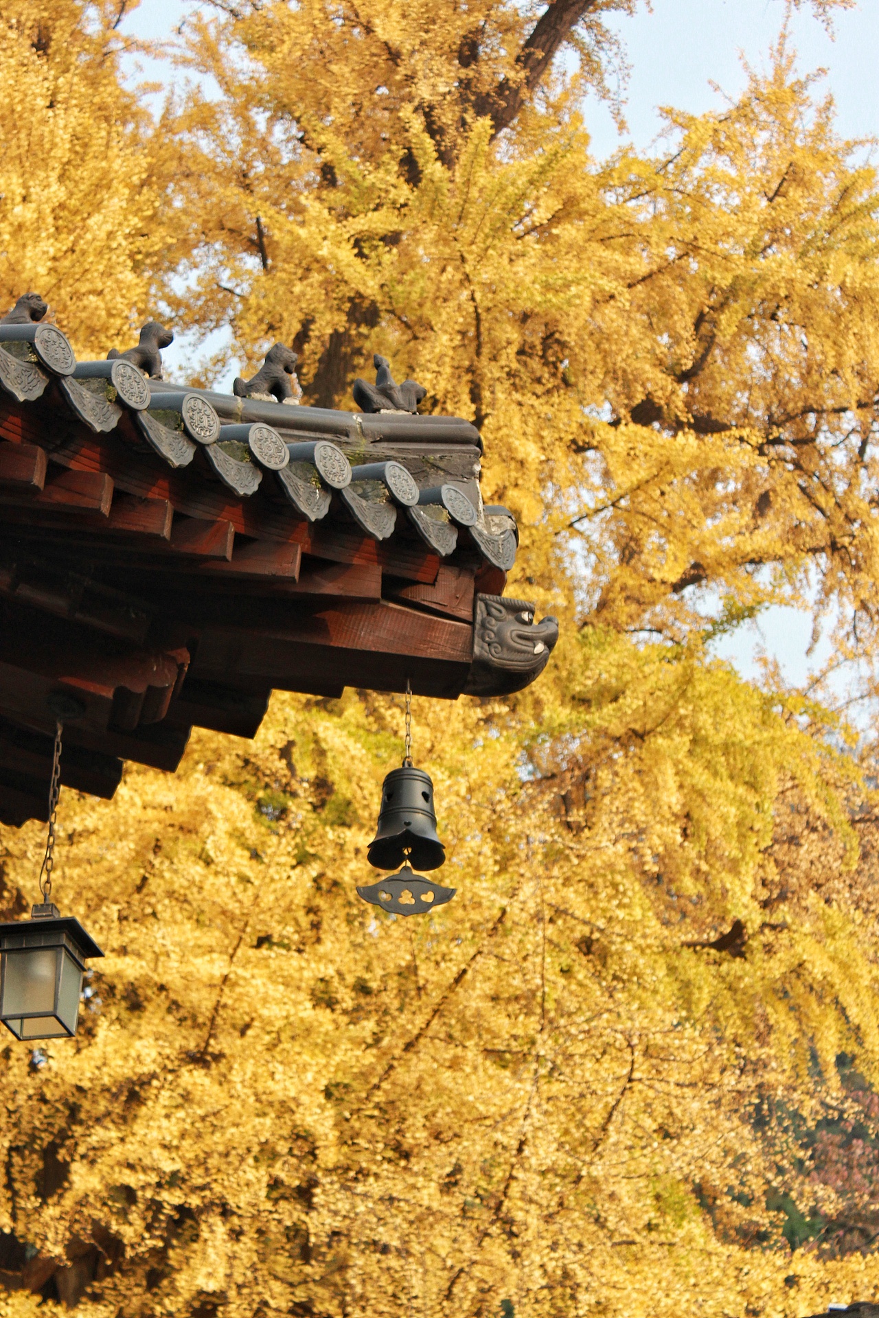 古观音禅寺·秋