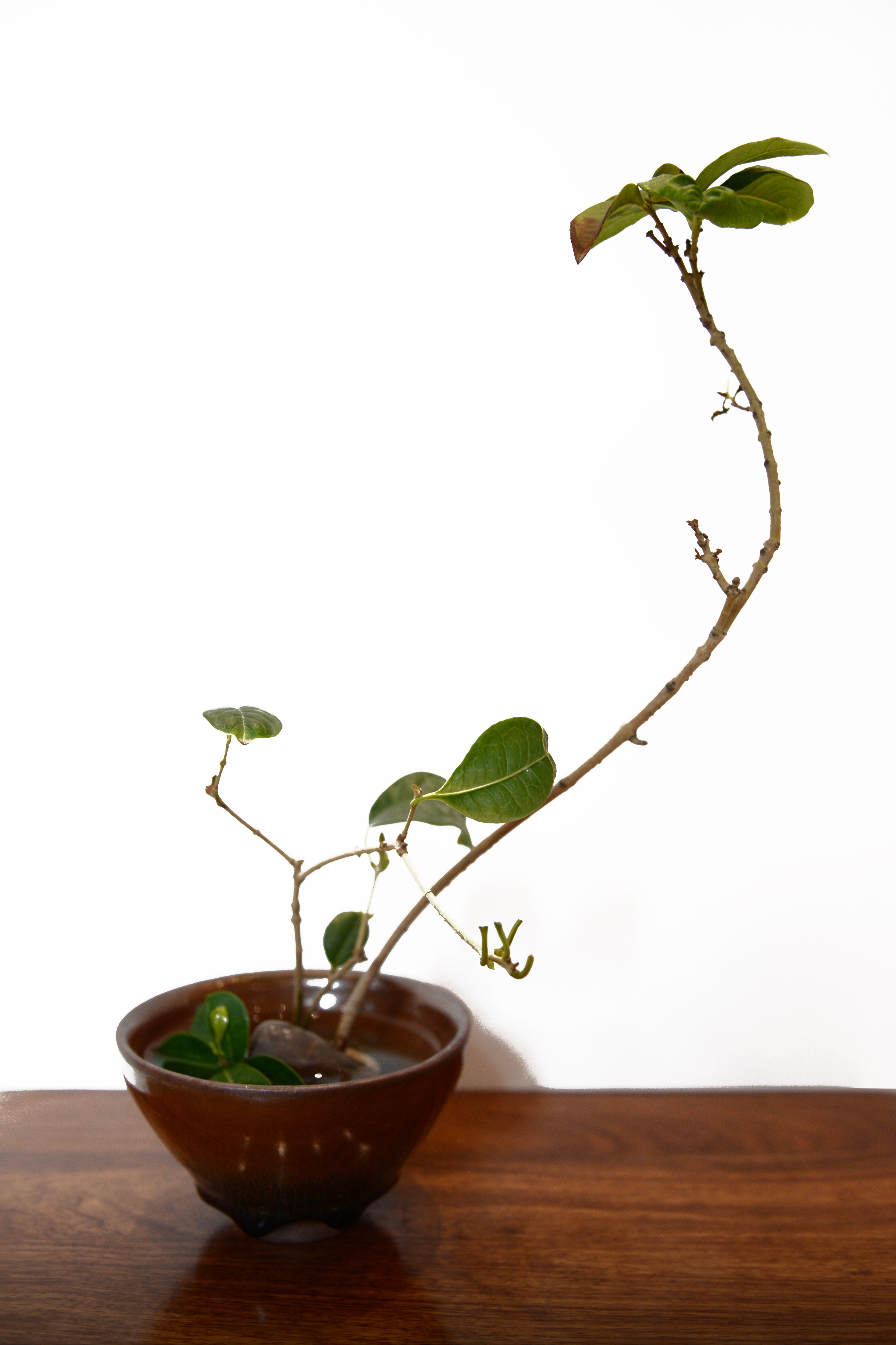 3000_4500竖版 竖屏