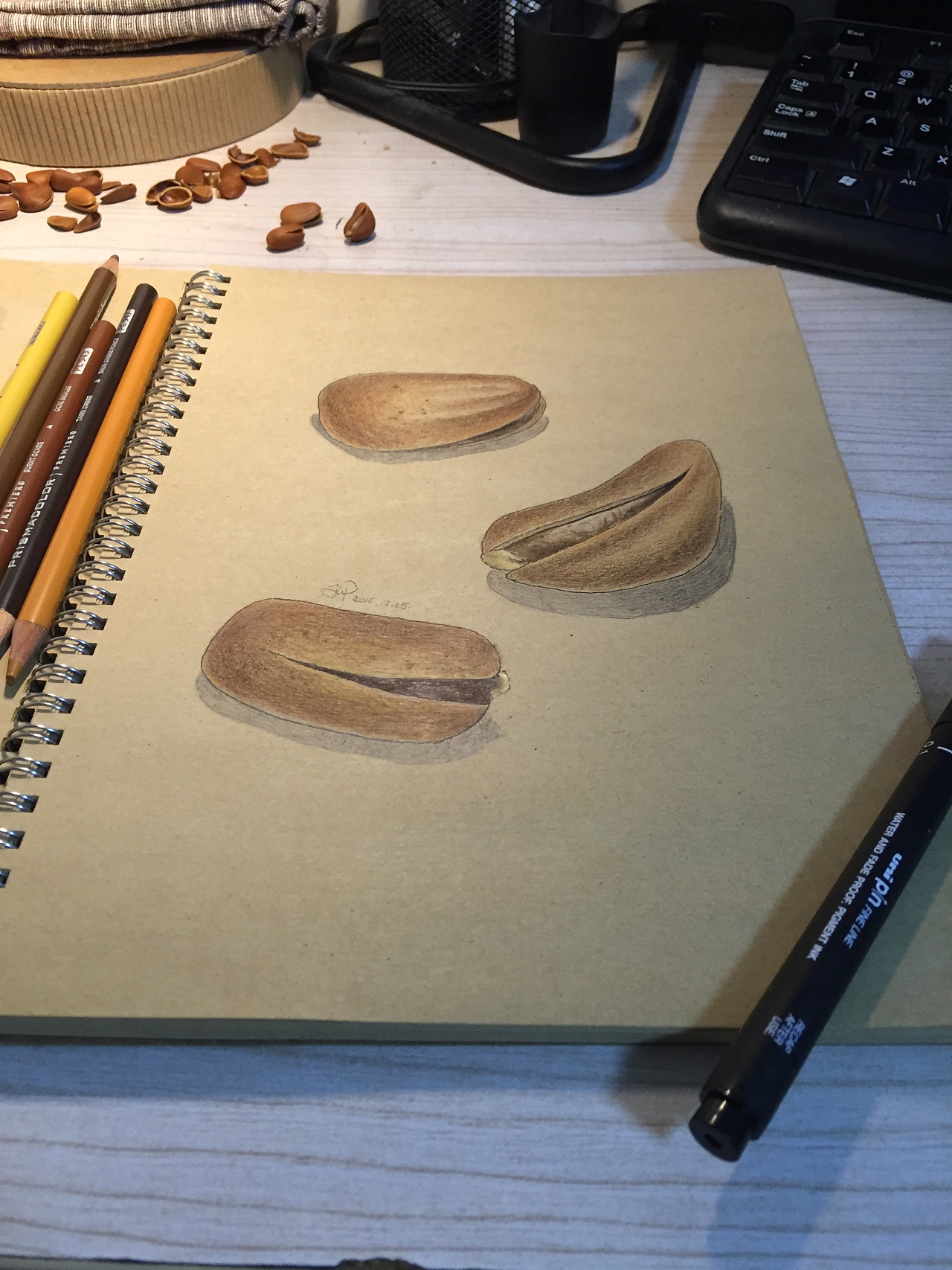 彩铅画三颗松子