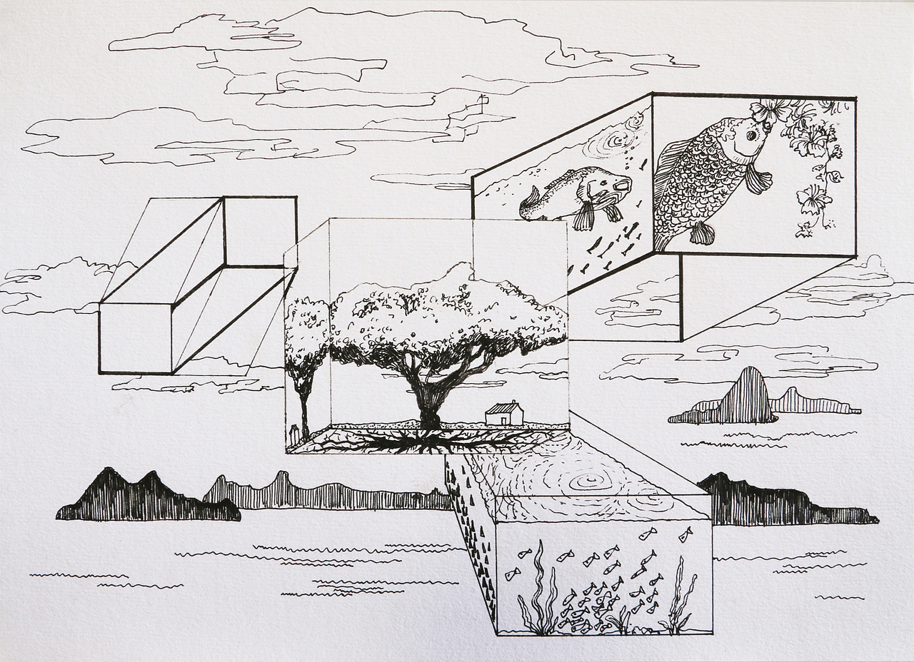 鱼（图ZNTg4MDk5NDA=） - 创作习作 - 站酷设计师wan_kaikwong原创素材 - 站酷ZCOOL