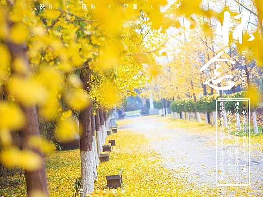 练手（个人主页-ZMzgzNzczMDQ=） - 风光摄影 - 站酷设计师啾啾喈喈135原创素材 - 站酷ZCOOL