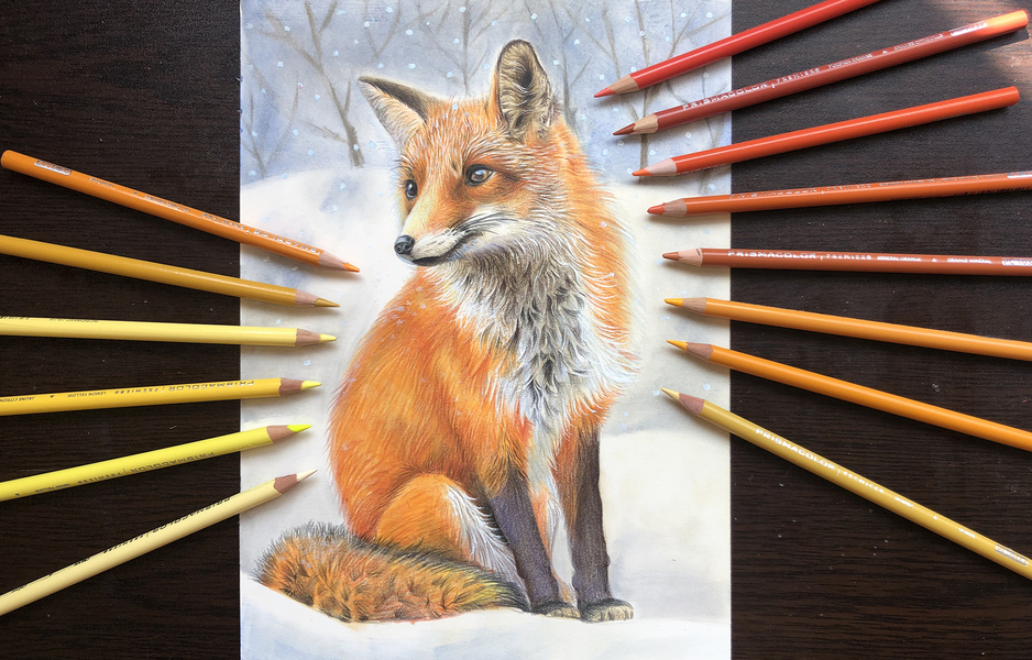 毛茸茸治愈——手绘可爱小动物