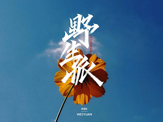 #秀丽笔打卡(二)