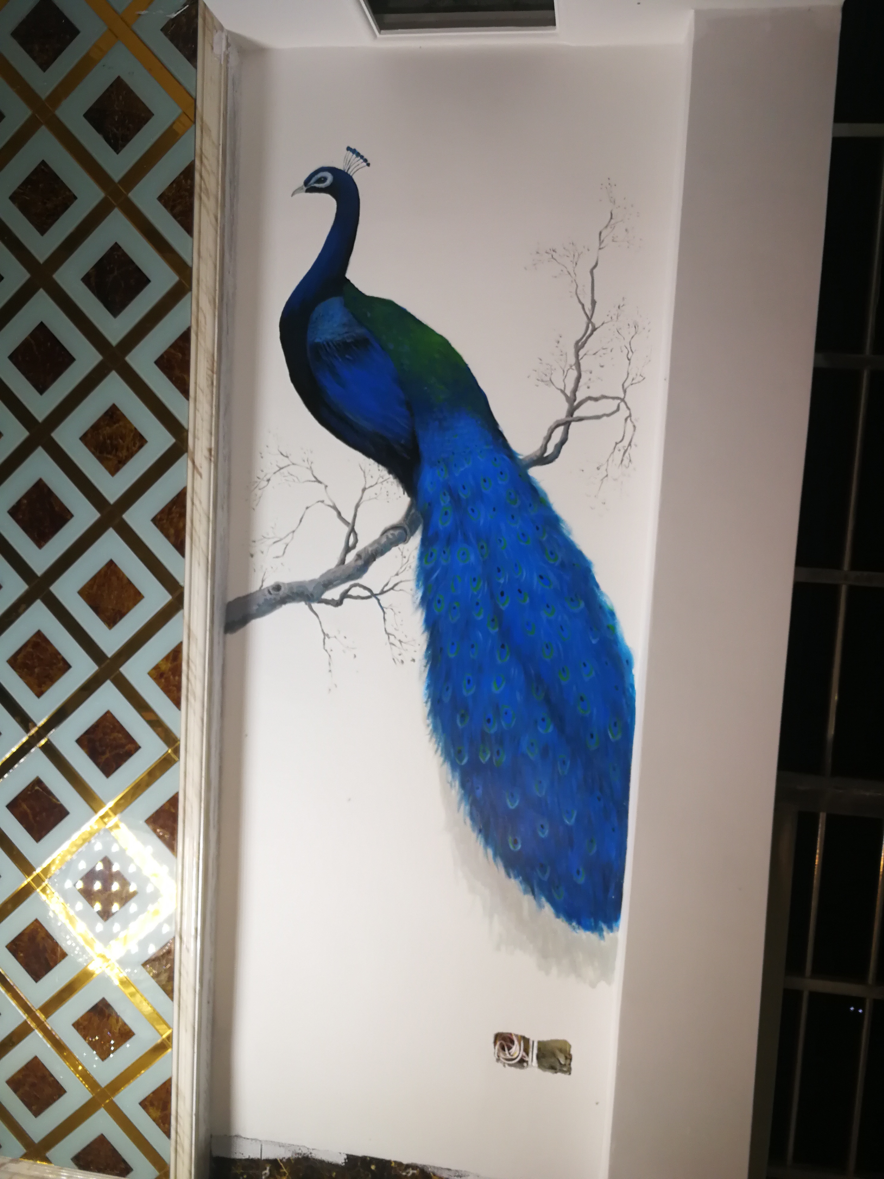 墙绘,孔雀