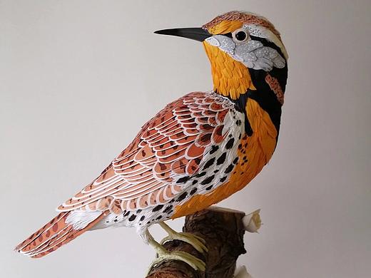 紙藝鳥玩起來 / 栩栩如生（個(gè)人主頁-ZNDYwODMyMjg=） - 其他手工藝 - 站酷設(shè)計(jì)師A阿南紙藝原創(chuàng)素材 - 站酷ZCOOL