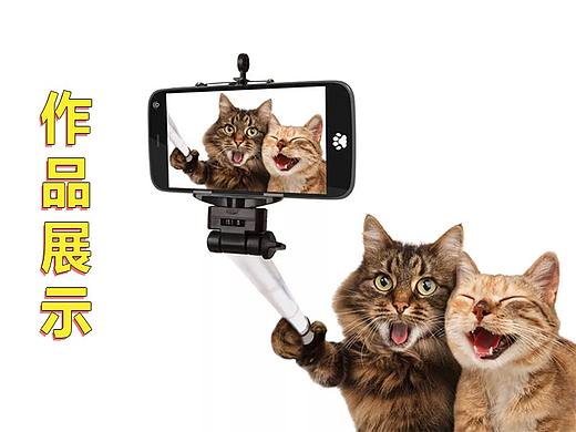 旅游海报详情页面作品展示