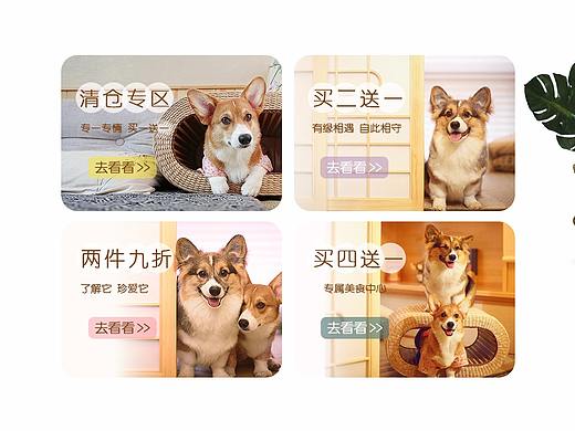 淘宝天猫宠物零食用品店铺首页