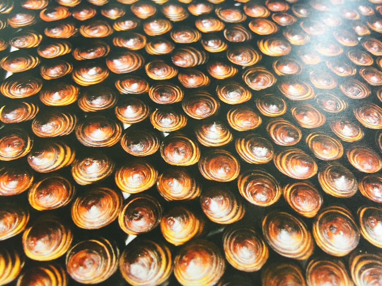 ZZ WORK:从“地缘特色”到“独特视觉”