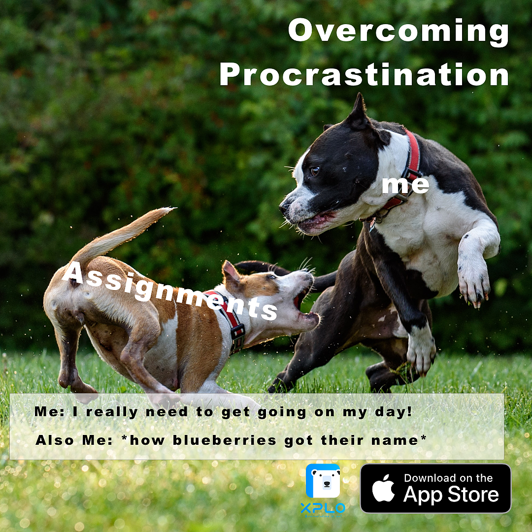 社交im即时聊天app推广海报15张（图ZMTgwMTg5MTY4） - 海报 - 站酷设计师teddyte原创素材 - 站酷ZCOOL