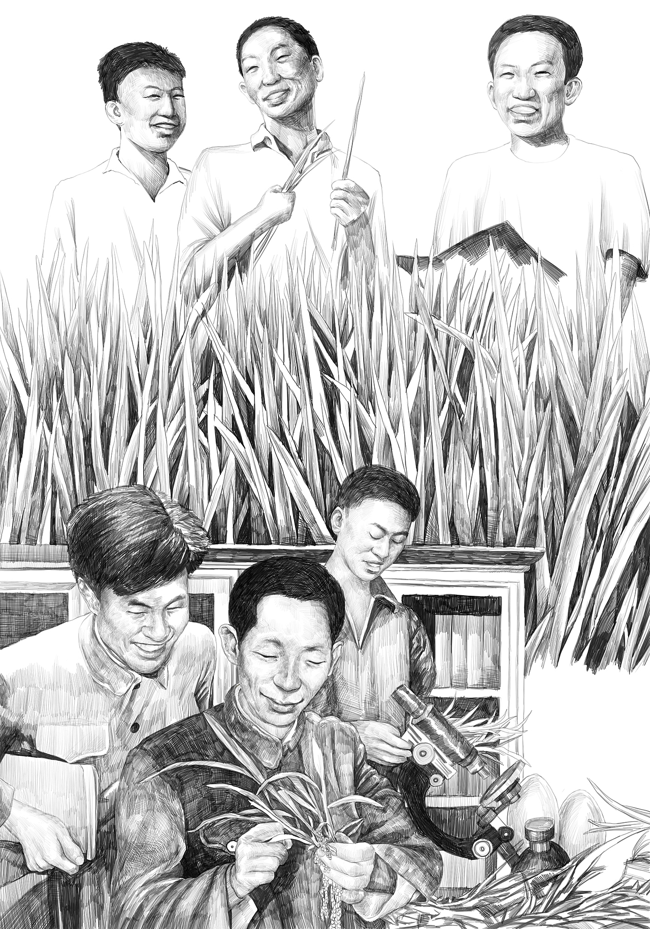 杂交水稻之父插画