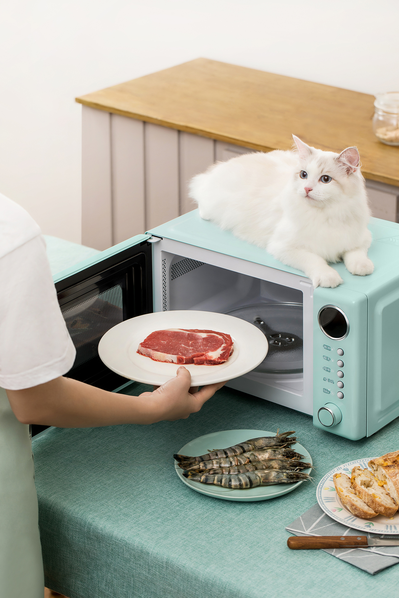 美的猫猫微波炉文描|撸猫、干饭、真香~