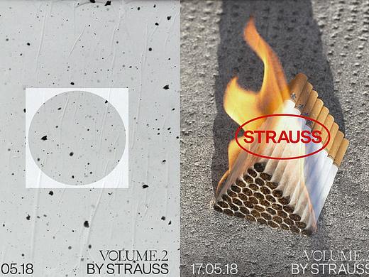 分享/ Srauss