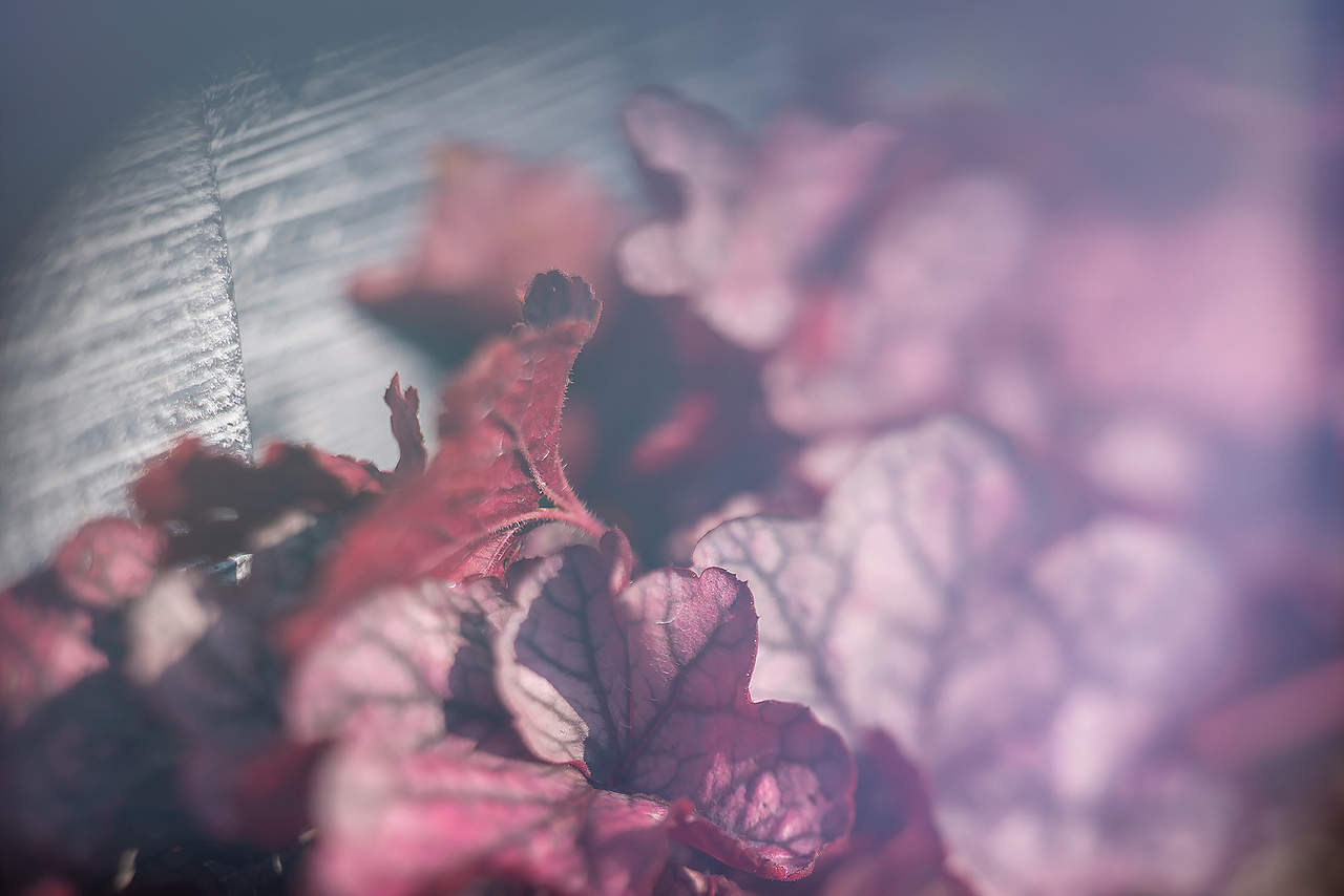 《要有光》（图ZMzA5OTYyNjYw） - 风光摄影 - 站酷设计师Alex1205原创素材 - 站酷ZCOOL