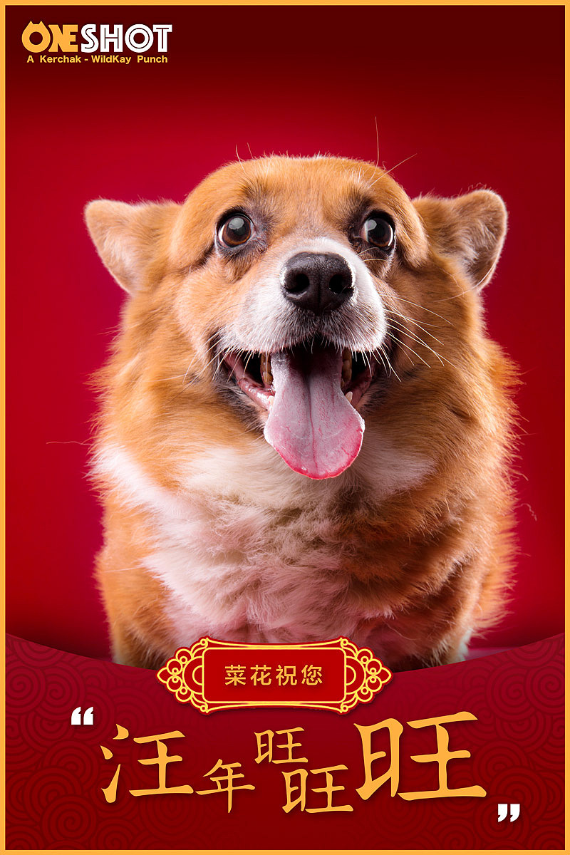 狗年过去一半了刚想起来我们在年初拍的百狗拜年图