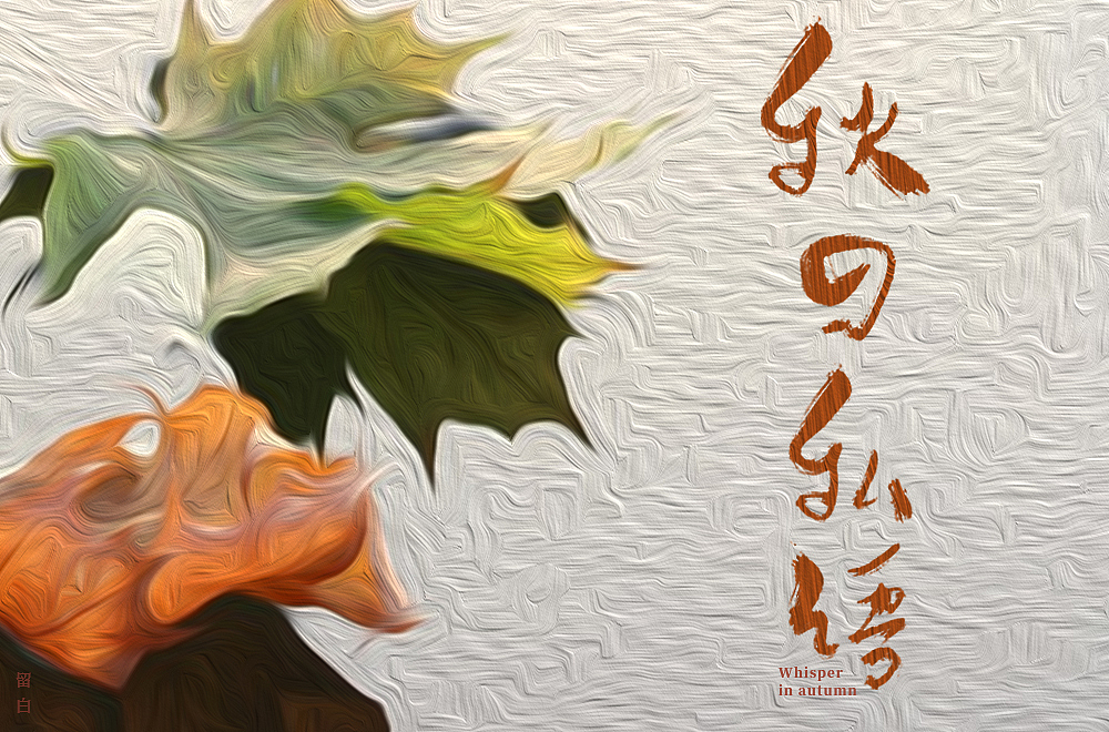 字体帮第1337篇（图ZMTc5OTU2NDI4） - 字体/字形 - 站酷设计师字体帮原创素材 - 站酷ZCOOL