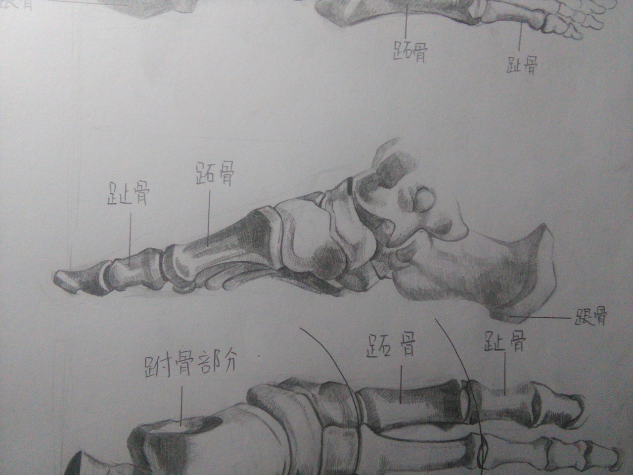 人頭插畫(huà)（圖ZMTQ0Mjk2NDg4） - 創(chuàng)作習(xí)作 - 站酷設(shè)計(jì)師緣泣腥蠛原創(chuàng)素材 - 站酷ZCOOL