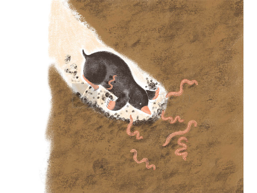 2019年已经发表的儿童插画（图ZMTY3NjE4NDE2） - 儿童插画 - 站酷设计师LJ柴柴儿童插画原创素材 - 站酷ZCOOL