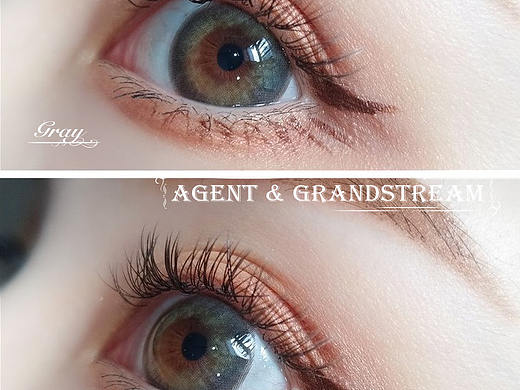 Seaweed年拋2片裝시리즈